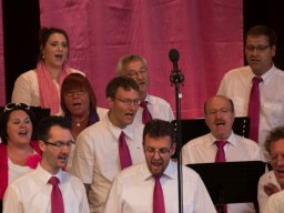Jubiläumskonzert 2014