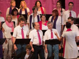 Jubiläumskonzert 2014